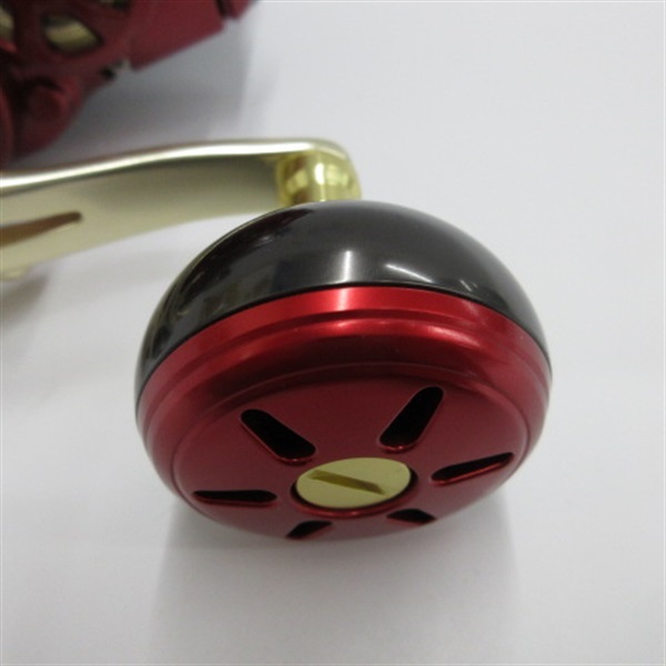 １９シーボーグ５００ＭＪ